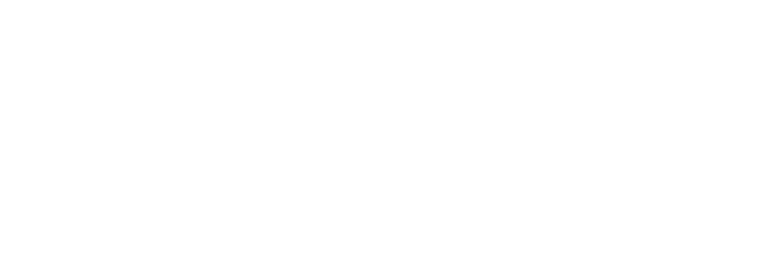 mSafe logo WHITE_defv1@20x